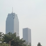 小许不吃芫荽