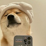 追剧小达人