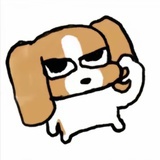 oiiiiiii