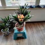 心想事成5959