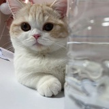 豆友233739301