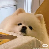 菜心心❤️