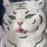 emmmmmmmmmmm
