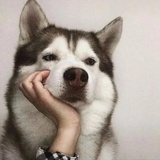 林子大不稀奇