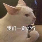 加缪手记