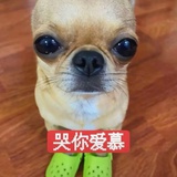 坤儿栓栓滴