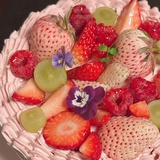 树枝上剪下一瞥