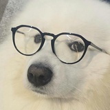 这次不会再磕了