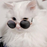 鶒劙