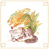 亮光（搬砖中）