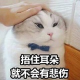 只嗑纸片人