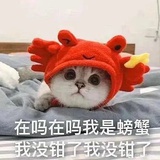 小螃蟹🦀