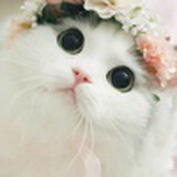 平平凡凡搬砖人