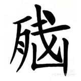 追一切综艺
