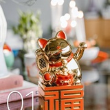 鲨鱼举哑铃