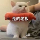 院士预备役