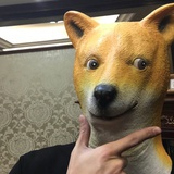 我不狗谁狗！