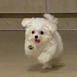 来世再议