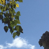 名字只是个符号