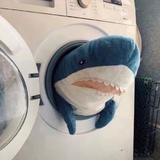 饭醉咸鱼人楚某