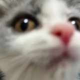 虾仁不眨眼