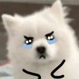 月是故乡明