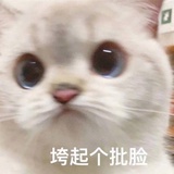 封心锁爱