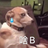 zzzz_m