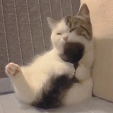 梨宋