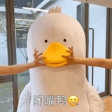 闭嘴🦆