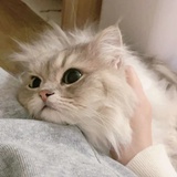 盐焗小星球