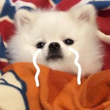 人间蒸汽机