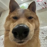 一天天真无聊