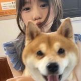 照烧鸡腿饭