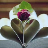 时默惜漫读