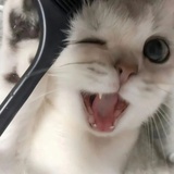 我就是會發財