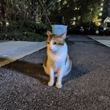 又一