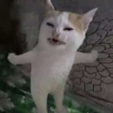 喝杯百香果
