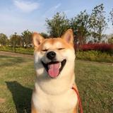 一天