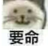 立锅