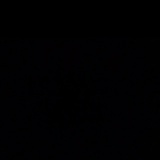 动森鱼露批发商