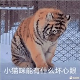 九九的外公