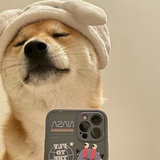移动旺仔
