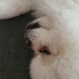 寄了