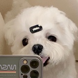 sne
