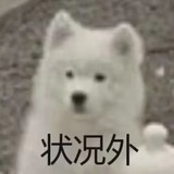 肉蟹煲