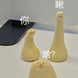 海底捞番茄锅🍅
