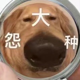 划学家