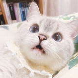 大魔王果果