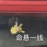 秋荼
